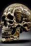 Placeholder: roman sculpture styled human skull