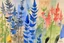 Placeholder: Watercolour of delphiniums in the style of Paul Klee