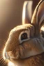 Placeholder: close up of a bunny. Natural light, global illumination,