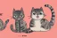 Placeholder: cute cat isolated illustrations