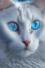 Placeholder: white cat blue eyes