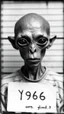 Placeholder: Get An old picture style of black and white mono very bad quality looks very old camera picture of arrested alien photo , left side view, with arrest prisoner number , year 1900