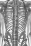 Placeholder: Abstract x-ray ribcage