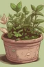 Placeholder: vieux pot de plante style lofi