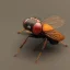 Placeholder: Photo of fly, 1500mm lens, ultrarealistic,hyper detailed, front view