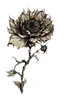 Placeholder: A drawing if a dry dead flower