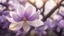 Placeholder: Half Tree Magnolia Flower Purple Light Translucent Layered Close-up Clear Distant Blur Poetic Photography Flat View Realistic 8K HD les fleurs de printemps, (violettes, jonquilles, narcisses, ) avec un fond de cascade