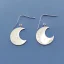 Placeholder: earring, jewlery, round, silver, crescent moon, moon craters