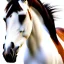 Placeholder: sweet baby horse, white background