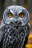 Placeholder: great grey owl with witch face