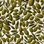 Placeholder: Olive kernels can be used to design chandeliers, lamps, or ceiling lights.