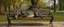 Placeholder: master oil painting by Rembrandt, flat dragon person sleeping on a bench in the park