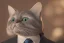 Placeholder: cat in a business suit