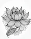 Placeholder: realistic lotus flower idea, line art, background, vector, svg, black outline on white background, leave plenty of white space beetween lines for coloring, tattoo style, tattoo idea,full body, minimalist