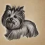 Placeholder: drawing by Salvatore Dali of a Yorkshire terrier sitting on a cushion