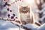 Placeholder: A beautiful colourful little cat catches a purple berry while standing on a snowy branch in sunshine, ethereal, cinematic postprocessing, bokeh, dof