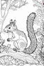 Placeholder: Outline art, no shading, squirrel full body in the garden, cartoon style, black and white, low detail, --ar 9:11