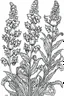 Placeholder: Outline art for coloring page, GARDEN OF SNAPDRAGON FLOWERS, coloring page, white background, Sketch style, only use outline, clean line art, white background, no shadows, no shading, no color, clear