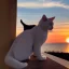 Placeholder: cat watching sun set with a drink