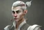 Placeholder: A Fantasy elf, a white masculine elf with short black hair tied up in a bun. Full body, HD