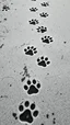 Placeholder: a path of dirty dog prints, black on white