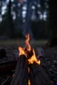 Placeholder: face view wooden fire