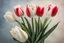 Placeholder: photorealistic 4 red tulips above and 2 white tulips down in a bouquet, vibrant colors, soft lighting, sharp focus, rough edges in sunshine