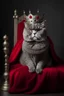 Placeholder: fat male gray cat dressed as a king sitting on a throne wearing a red robe and dressing