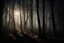 Placeholder: dark and light creepy forest with light beam