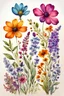 Placeholder: 4 wildflower vibrant multi colors classic hand drawn botanical style on white paper texture