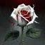 Placeholder: A white rose bleeding red blood from its stem