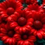 Placeholder: flowers in red color image