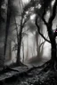 Placeholder: magical trees in forest black and white fairy magic bunch of trees many