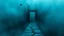 Placeholder: passage over nothingness, surreal, dark and cold abstract artwork dominated by deep blue, icy cyan, charcoal black and muted steel-grey tones. An narrow passageway emerges from an abstract distorted weird landscape, surrounded by thick fog and drifting mist. The space feels nightmare, alien and unsettling, with tiny floating circles and lines geometric forms, black onix column fragmented and unnatural perspectives. At the center of the composition cracked stone way over abyss