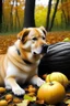 Placeholder: Kartoffel liebe Hund Herbst