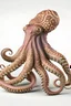 Placeholder: photoreal of a octopus, squid,