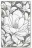 Placeholder: flowers coloring page for kids, magnolia, cartoon style, thick outline, low details, no shading, no color