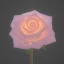 Placeholder: luminous rose in moonlight