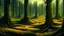 Placeholder: LOST FOREST