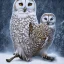 Placeholder: snow OWL