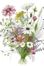 Placeholder: wild flowers bouquet drawing