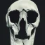 Placeholder: Martian skull