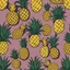 Placeholder: Concept pineapple interior design