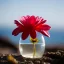 Placeholder: Surreal Waiizii Flower inside a glass sculpture, Art by Joshy Sly,