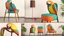 Placeholder: Parrot inspired chair moderm