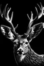 Placeholder: Black and white deer antlers, without face, antlers only