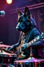 Placeholder: Portrait of a dark german shepherd dark skin male wearing a black clothes with full human body playing the drums in a rock band