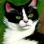 Placeholder: Portrait of a fluffy tuxedo cat with green eyes in a Victorian dress in the style of Monet