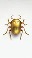 Placeholder: Realistic 3D render, golden scarab beetle on a white background