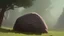 Placeholder: Large boulder in a clearing in the forest